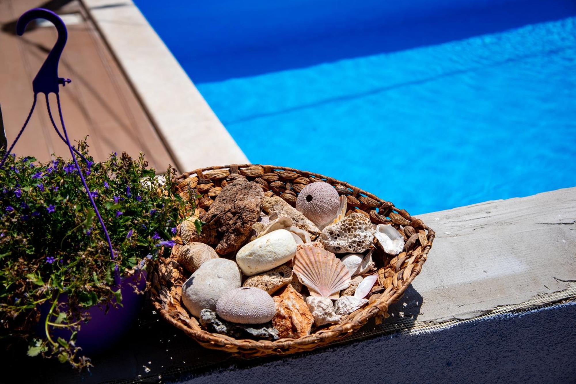 Pool Me Up! Daire Šibenik Dış mekan fotoğraf